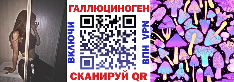 Галлюциногенные грибы Psilocybe  Приморско-Ахтарск 